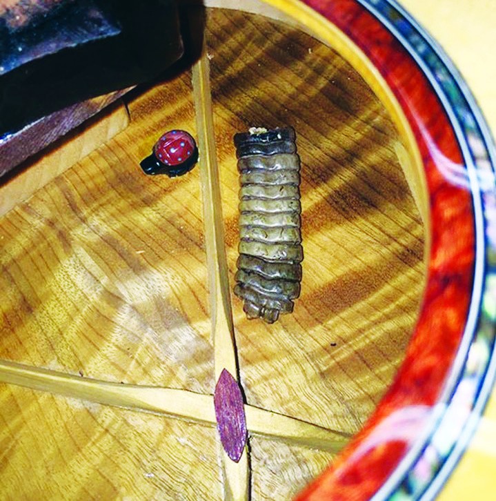 Guitar Construction Techniques to Maintain Instrument Playability Over Time
